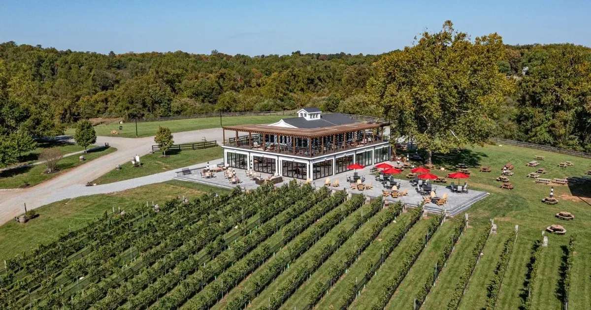 Aerial view of 50 West Vineyards with its tasting room terrace, vineyard rows, and surrounding grounds