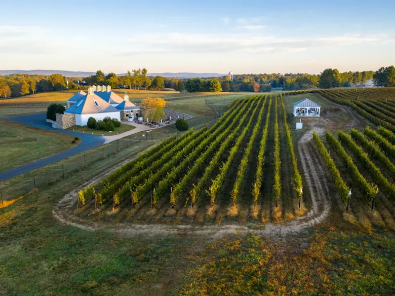 Aerial view of Boxwood Winery and vineyard rows in Middleburg