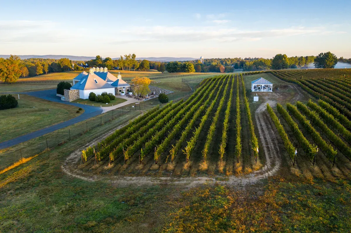 Aerial view of Boxwood Winery and vineyard rows in Middleburg