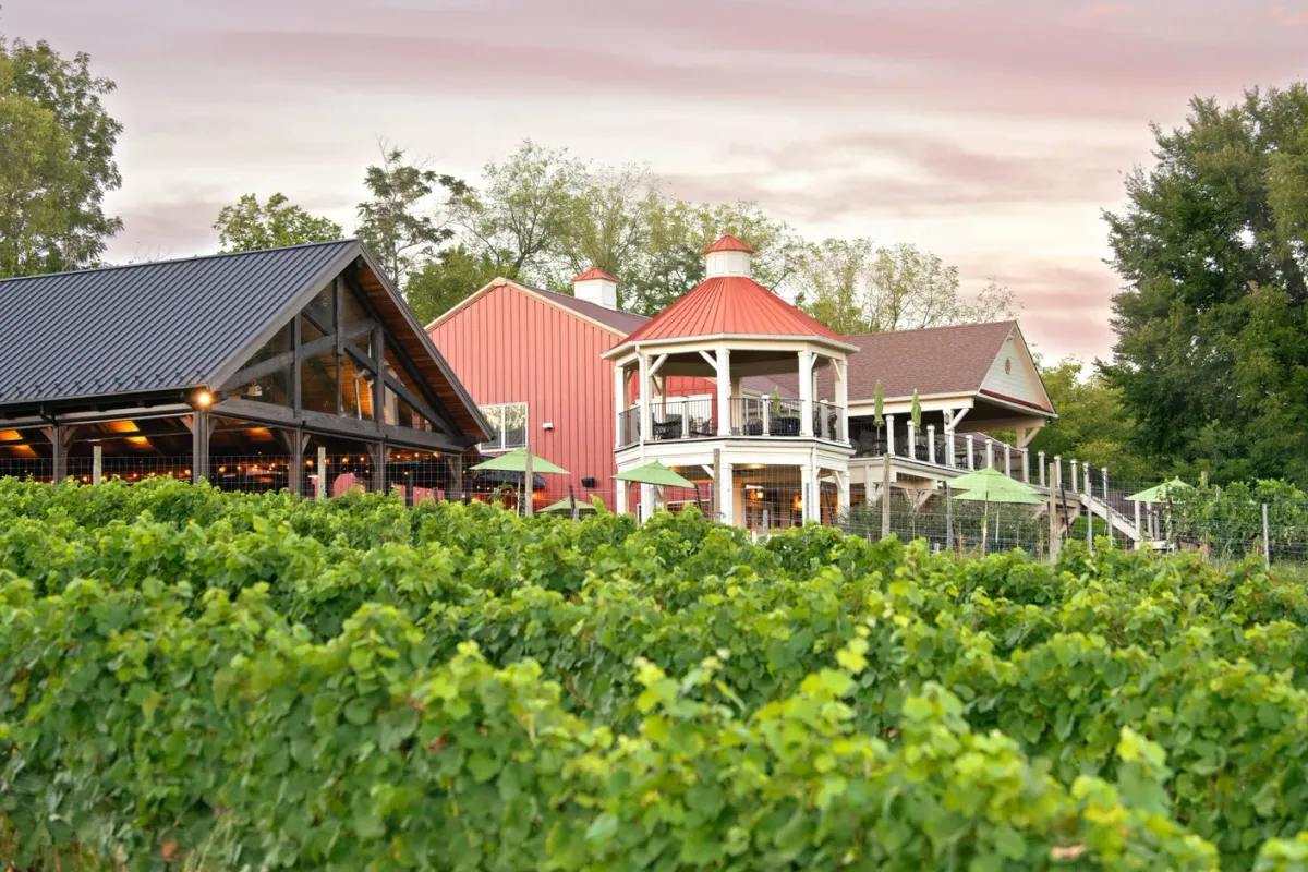Photo of Cana Winery & Vineyards