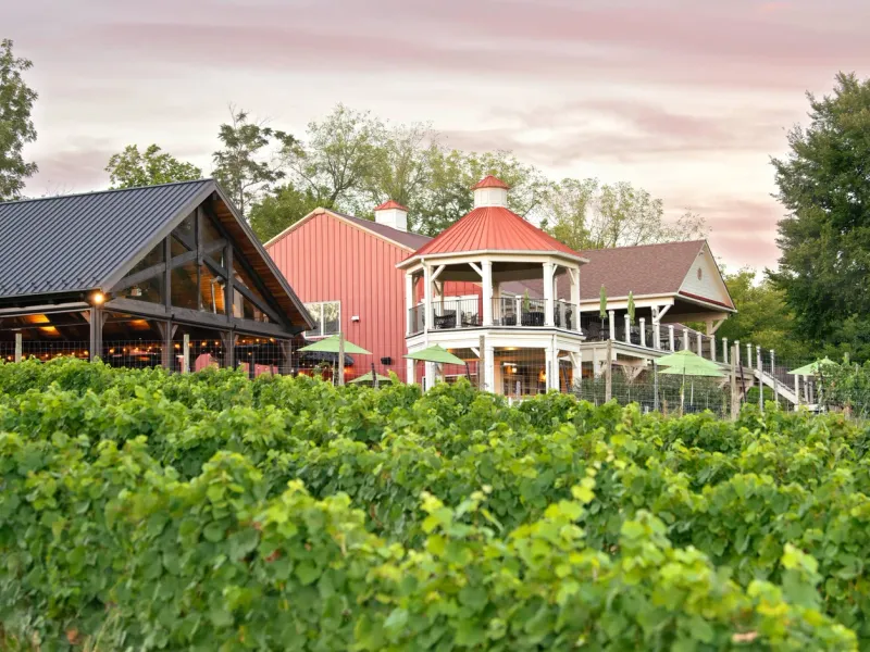 Photo of Cana Winery & Vineyards