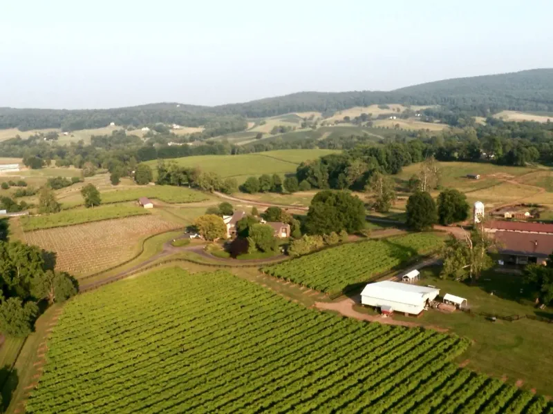 Aerial view of Chrysalis Vineyards with vineyard rows and rolling hills
