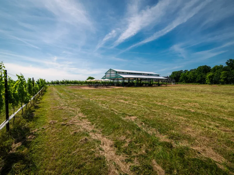 Photo of Domaine Fortier Vineyard