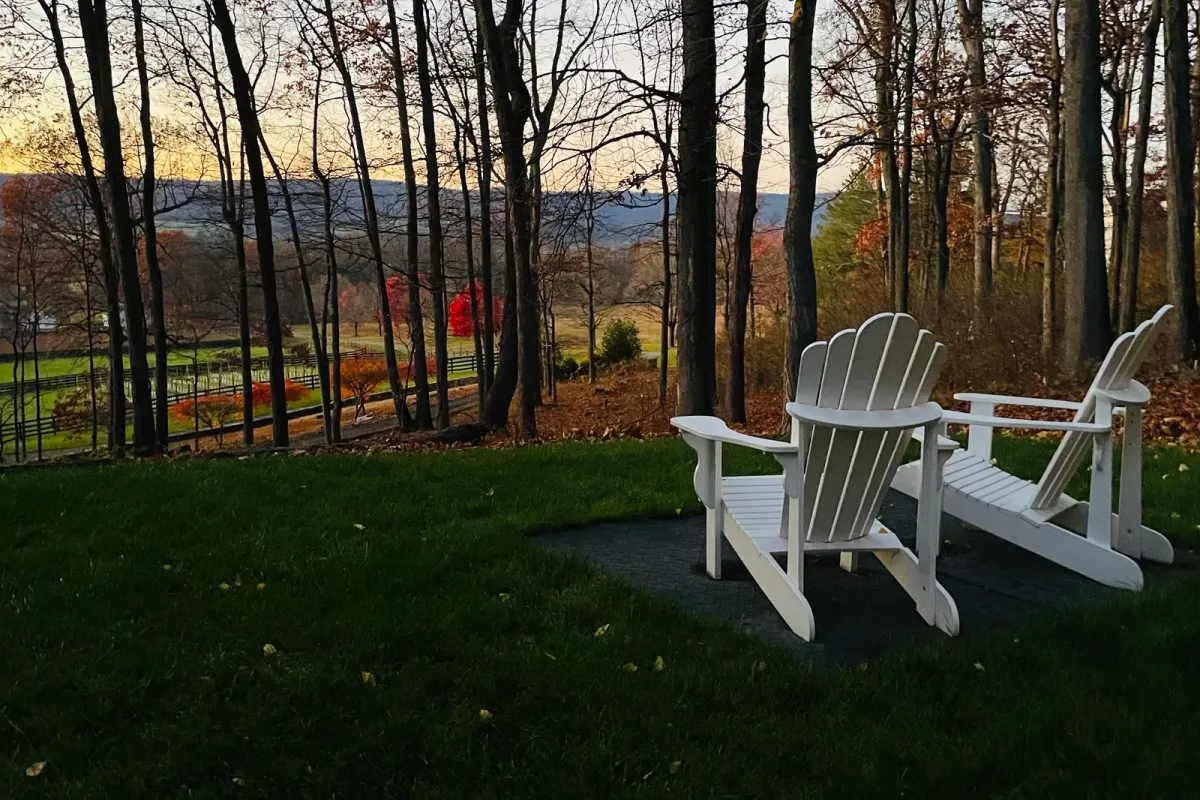 White Adirondack chairs overlooking the wooded valley at Farm de Vine