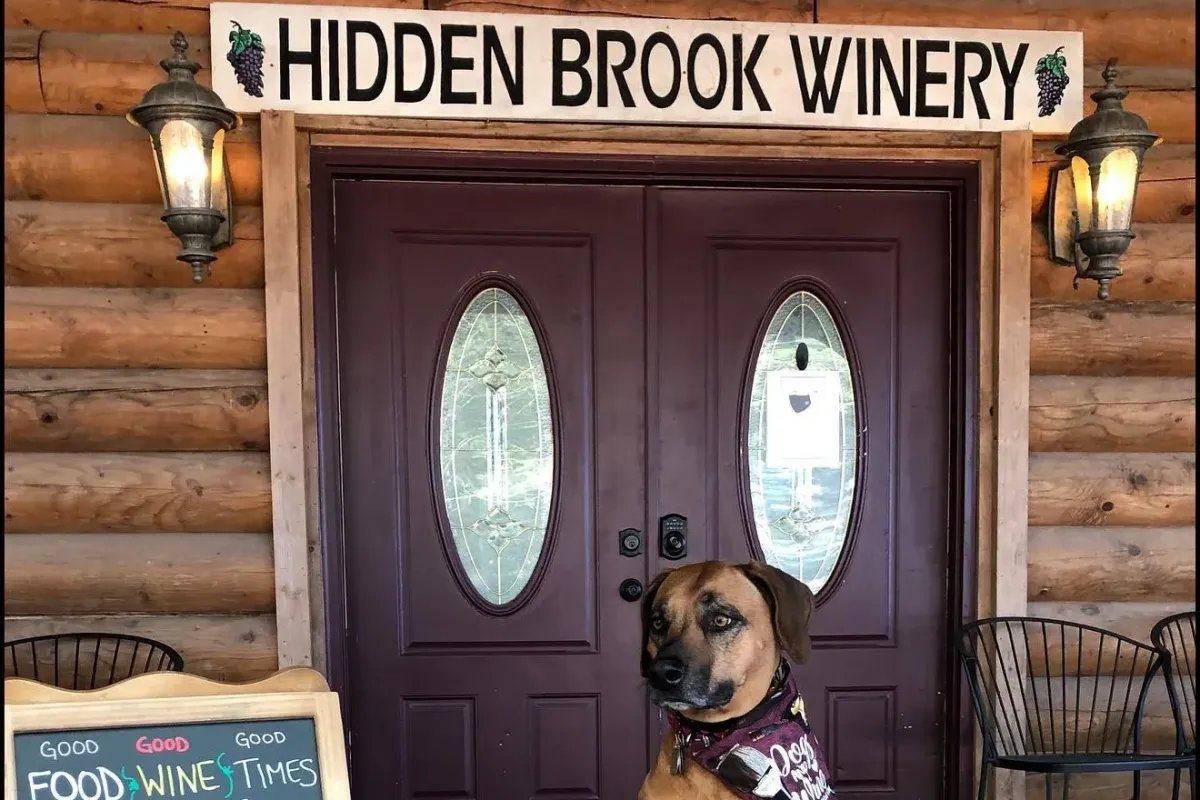 Hidden Brook Winery log-cabin entrance and welcome sign