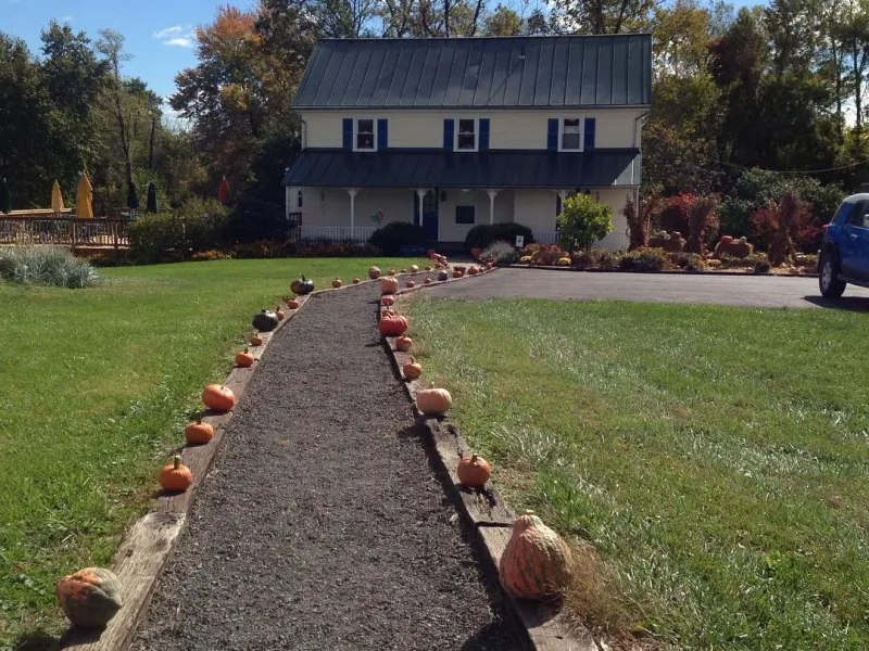 Hiddencroft Vineyards tasting room with pumpkin-lined walkway