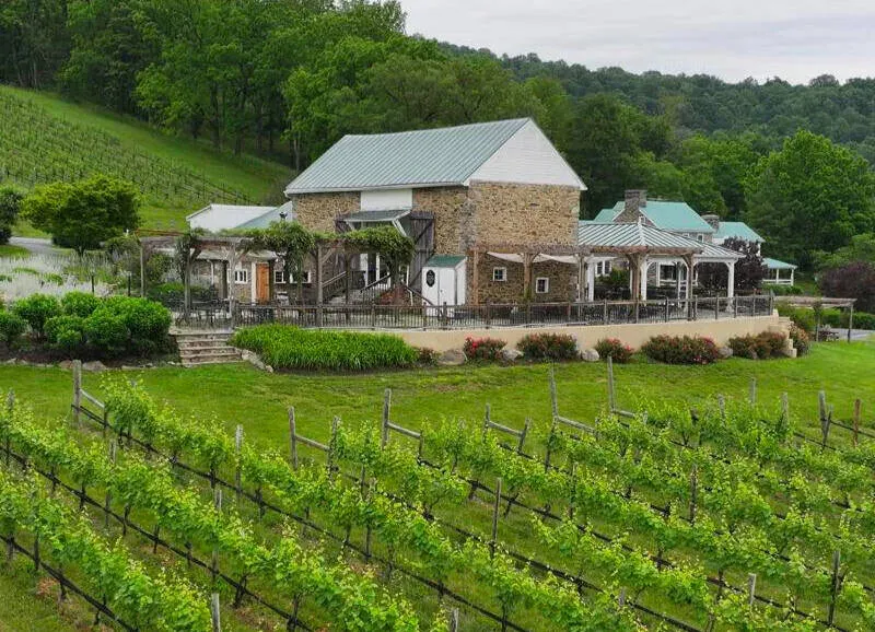 Photo of Hillsborough Vineyard