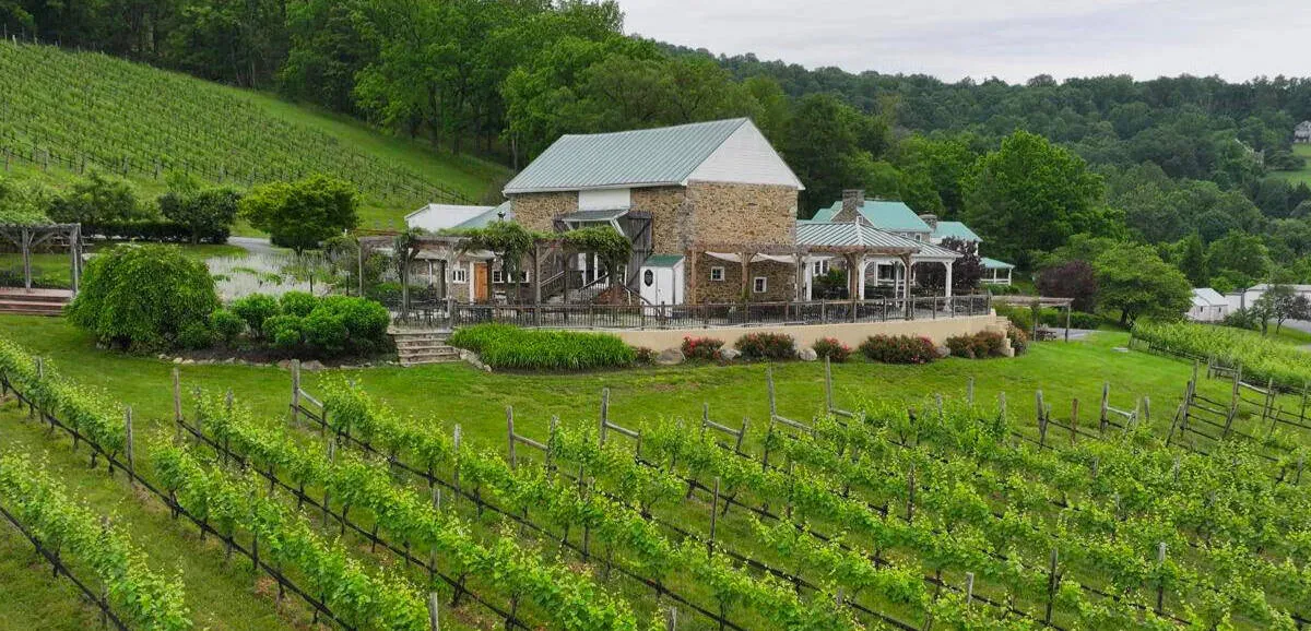 Photo of Hillsborough Vineyard