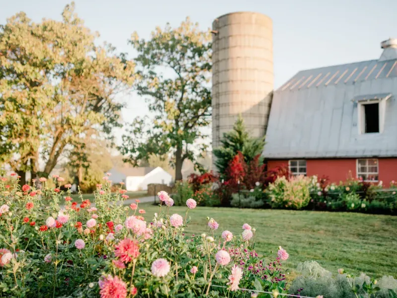 Photo of Hope Flower Farm & Winery
