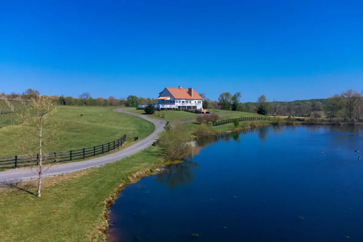 Droumavalla estate winery overlooking vineyard rows and a pond