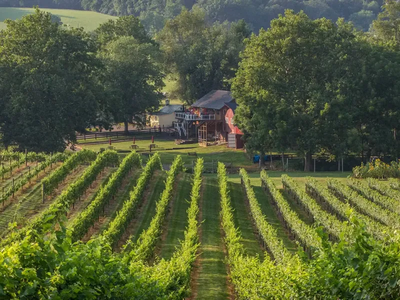 Three Creeks Winery outdoor seating beneath trees