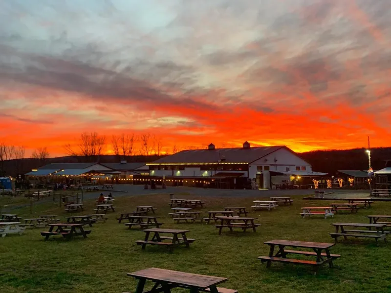 Vanish Farmwoods Brewery lawn and picnic tables at sunset