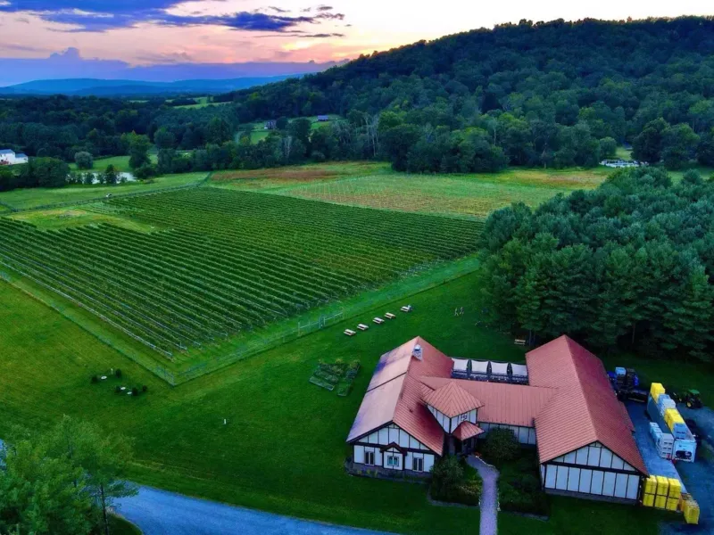 Photo of Walsh Family Wine