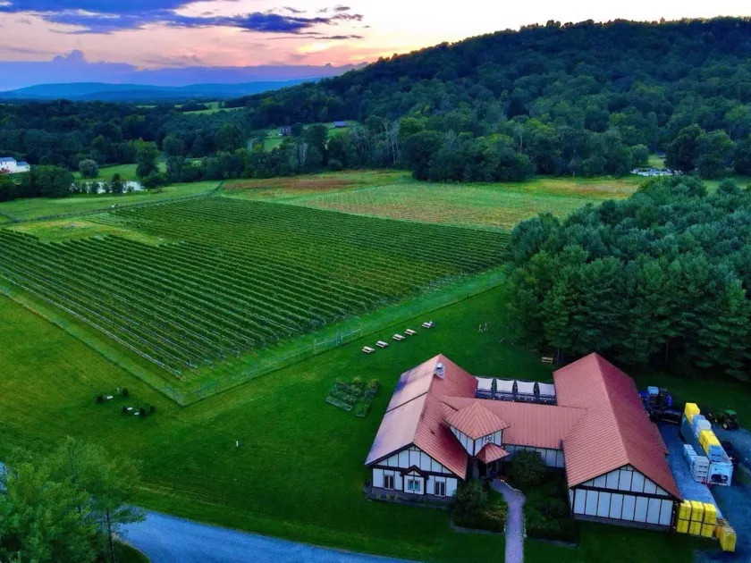 Photo of Walsh Family Wine