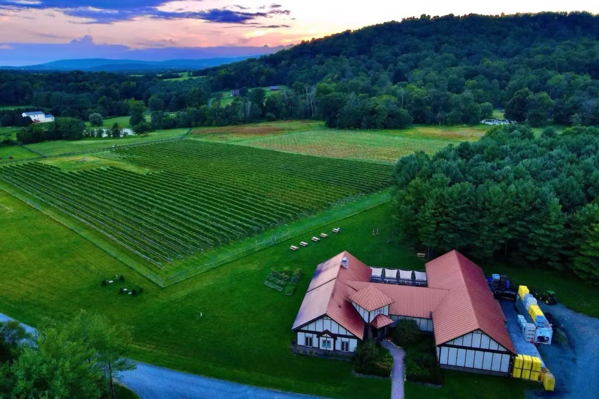 Photo of Walsh Family Wine