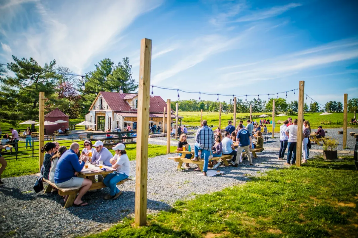Wheatland Spring Farm + Brewery patio with picnic tables and string lights