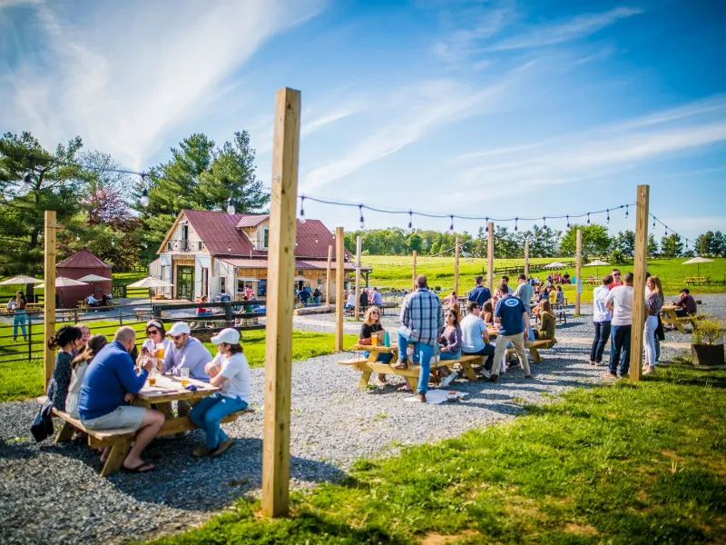 Wheatland Spring Farm + Brewery patio with picnic tables and string lights
